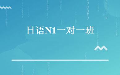 日语N1一对一班 