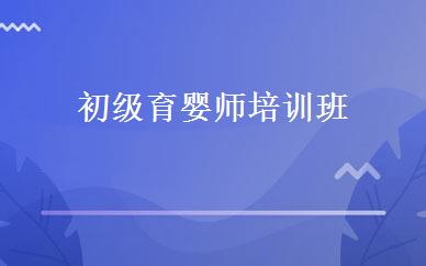 初级育婴师培训班 