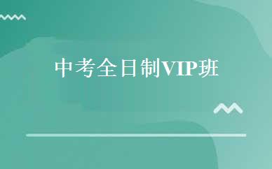 中考全日制VIP班 