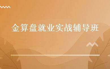 金算盘就业实战辅导班 