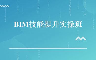 BIM技能提升实操班 