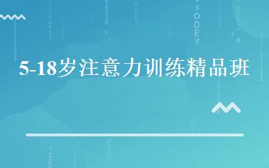 5-18岁注意力训练精品班 