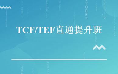 TCF/TEF直通提升班  