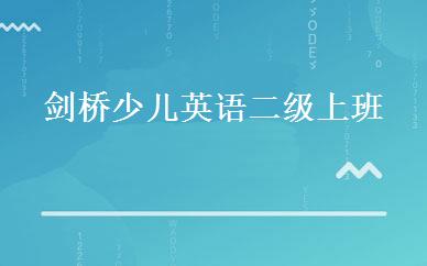 剑桥少儿英语二级上班 