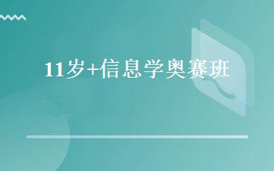 11岁+信息学奥赛班 