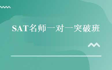 SAT名师一对一突破班 