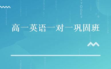 高一英语一对一巩固班 