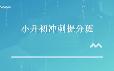 小升初冲刺提分班 