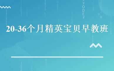 20-36个月精英宝贝早教班 