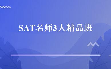 SAT名师3人精品班 