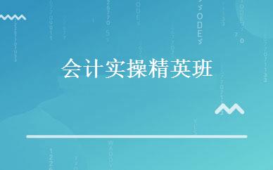 会计实操精英班 