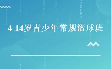 4-14岁青少年常规篮球班 