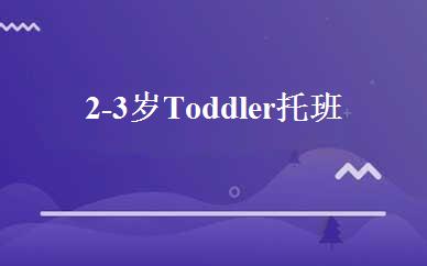 2-3岁 Toddler托班 