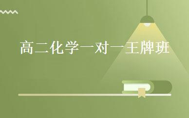 高二化学一对一王牌班 