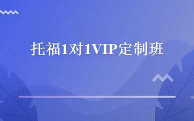 托福1对1VIP定制班 