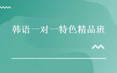 韩语一对一特色精品班 