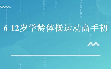 6-12岁学龄体操运动高手初级班 