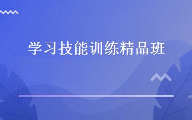 学习技能训练精品班 
