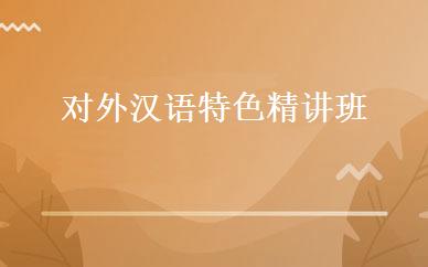 对外汉语特色精讲班 