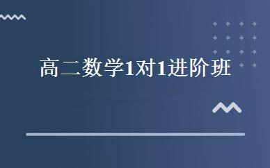 高二数学1对1进阶班 