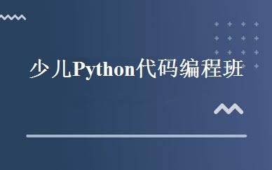 少儿Python代码编程班 