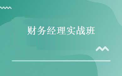 财务经理实战班 