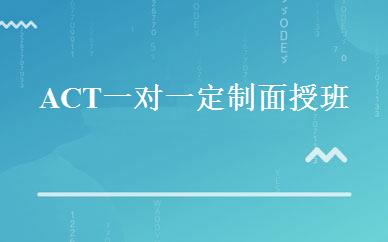 ACT一对一定制面授班 