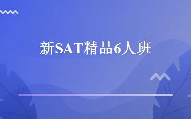 新SAT精品6人班 