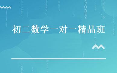 初二数学一对一精品班