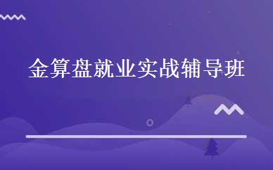 金算盘就业实战辅导班 