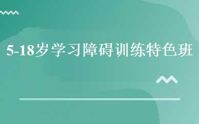 5-18岁学习障碍训练特色班 