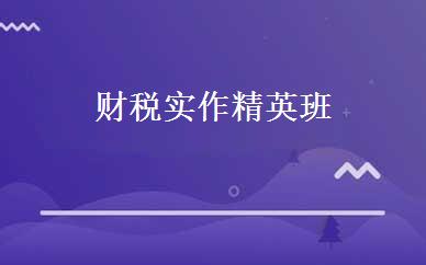 财税实作精英班 