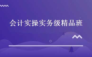 会计实操实务级精品班 