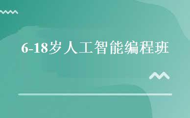 6-18岁人工智能编程班 