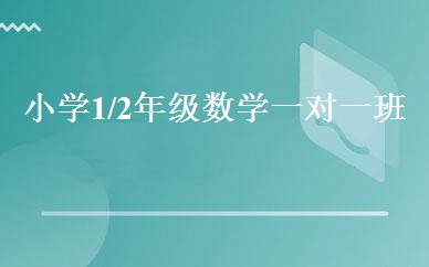 小学1/2年级数学一对一班 