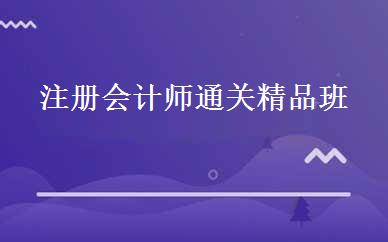 注册会计师通关精品班 