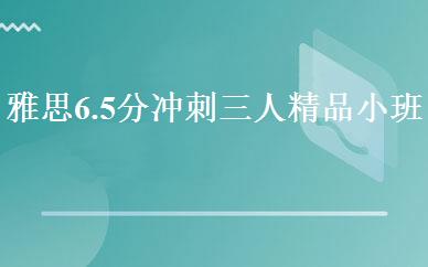 雅思6.5分冲刺三人精品小班 