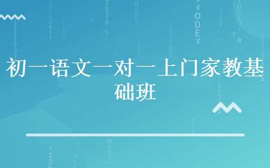 初一语文一对一上门家教基础班 