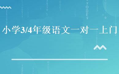 小学3/4年级语文一对一上门家教特色班 
