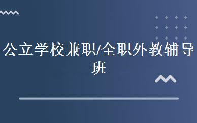 公立学校兼职/全职外教辅导班 
