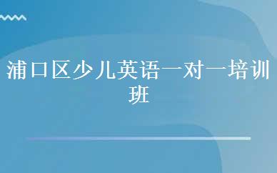 浦口区少儿英语一对一培训班