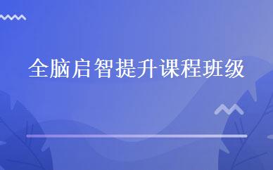 全脑启智提升课程班级 