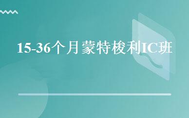 15-36个月蒙特梭利IC班 