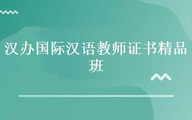 汉办国际汉语教师证书精品班 