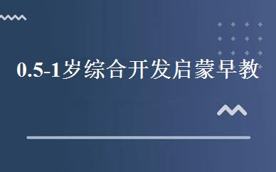 0.5-1岁综合开发启蒙早教班 