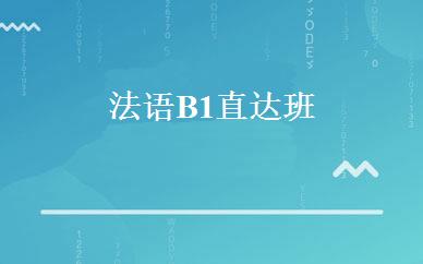 法语B1直达班 