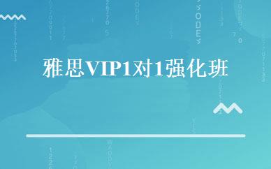 雅思VIP1对1强化班 