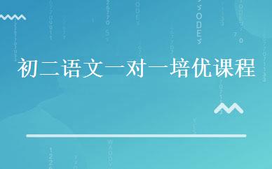初二语文一对一培优课程 
