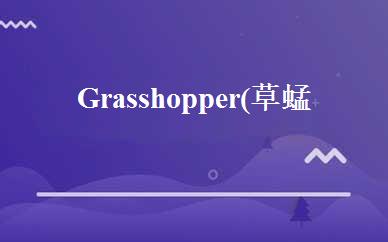 Grasshopper(草蜢）参数化启蒙培训班 
