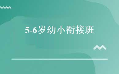 5-6岁幼小衔接班 